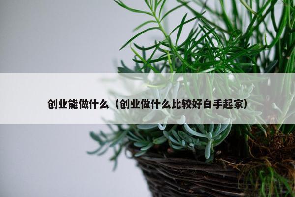 创业能做什么（创业做什么比较好白手起家）