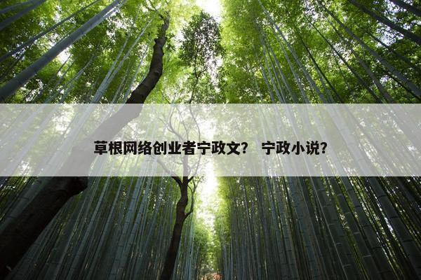 草根网络创业者宁政文？ 宁政小说？