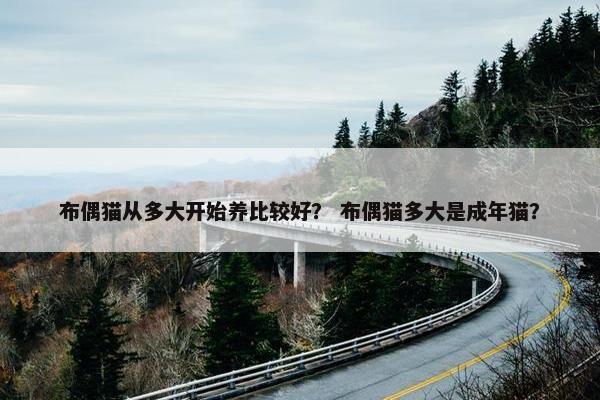 布偶猫从多大开始养比较好？ 布偶猫多大是成年猫？