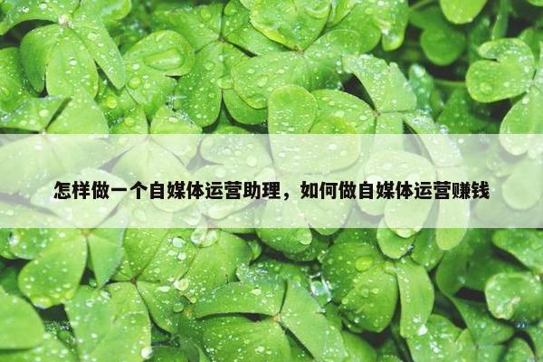 怎样做一个自媒体运营助理，如何做自媒体运营赚钱