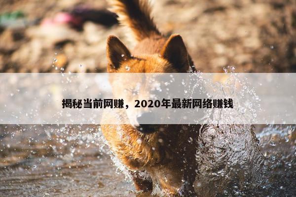 揭秘当前网赚，2020年最新网络赚钱