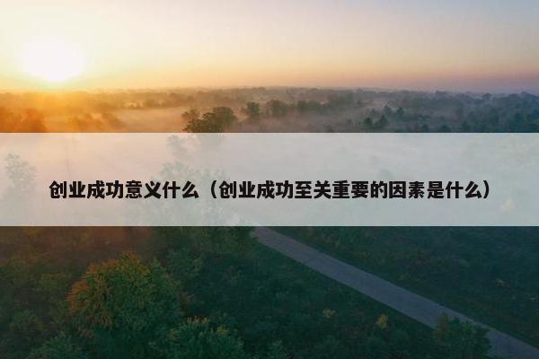 创业成功意义什么（创业成功至关重要的因素是什么）