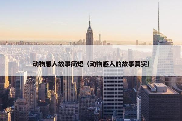 动物感人故事简短（动物感人的故事真实）
