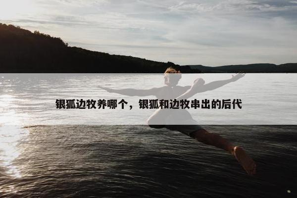 银狐边牧养哪个，银狐和边牧串出的后代