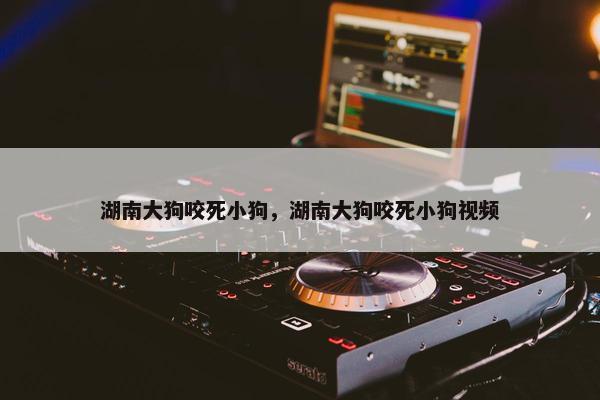 湖南大狗咬死小狗，湖南大狗咬死小狗视频
