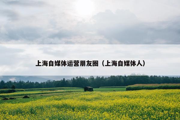 上海自媒体运营朋友圈（上海自媒体人）