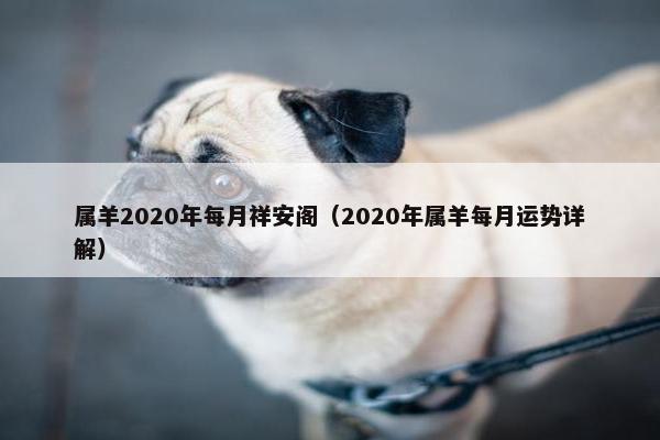 属羊2020年每月祥安阁（2020年属羊每月运势详解）