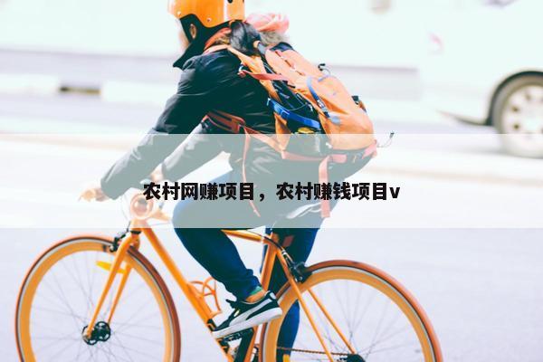 农村网赚项目，农村赚钱项目v