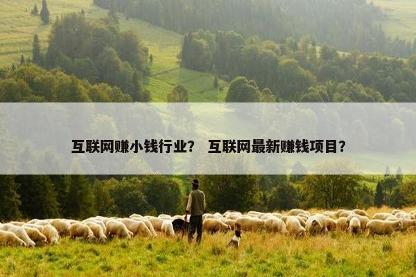 互联网赚小钱行业？ 互联网最新赚钱项目？