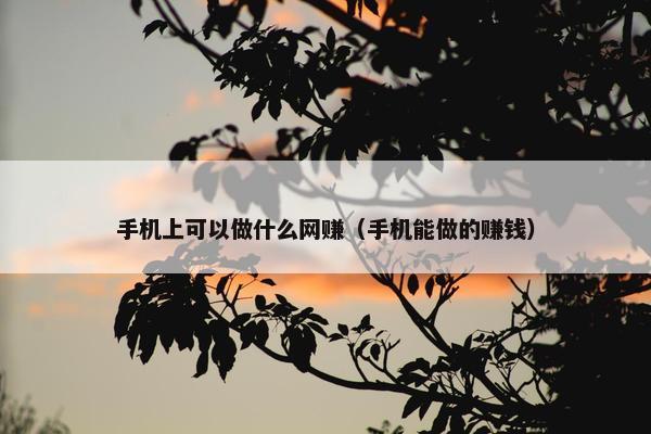 手机上可以做什么网赚（手机能做的赚钱）