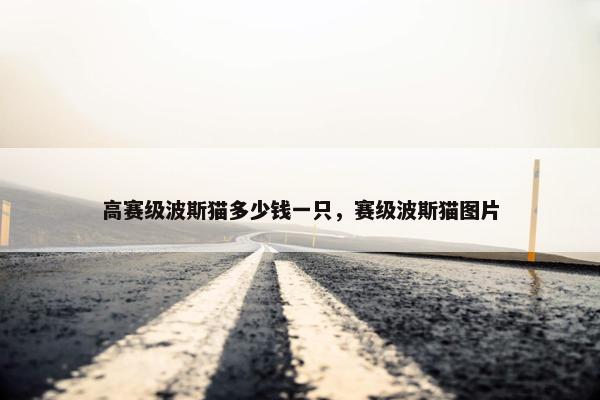 高赛级波斯猫多少钱一只，赛级波斯猫图片