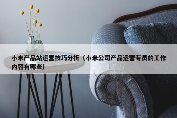 小米产品站运营技巧分析（小米公司产品运营专员的工作内容有哪些）