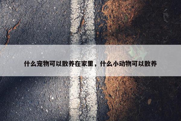 什么宠物可以散养在家里，什么小动物可以散养
