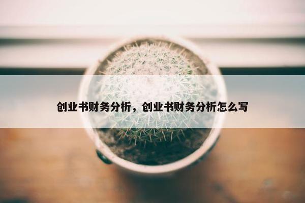 创业书财务分析，创业书财务分析怎么写