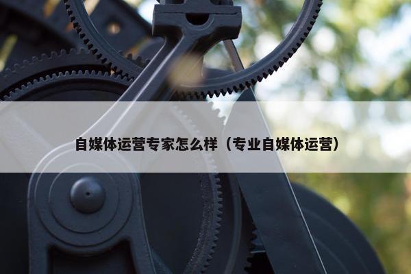 自媒体运营专家怎么样（专业自媒体运营）