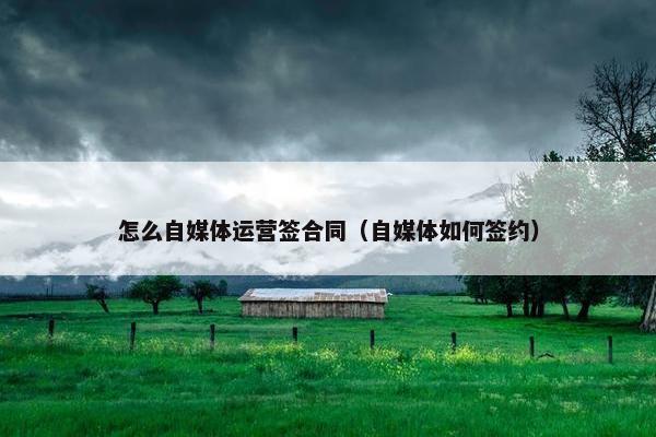 怎么自媒体运营签合同（自媒体如何签约）