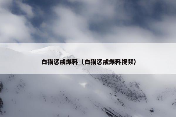 白猫惩戒爆料（白猫惩戒爆料视频）