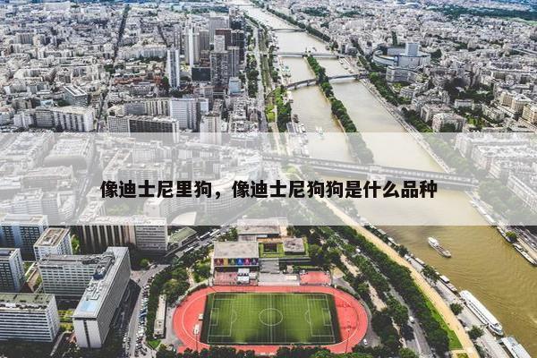 像迪士尼里狗，像迪士尼狗狗是什么品种