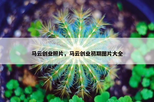马云创业照片，马云创业初期图片大全