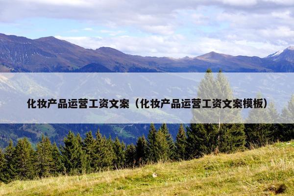 化妆产品运营工资文案（化妆产品运营工资文案模板）