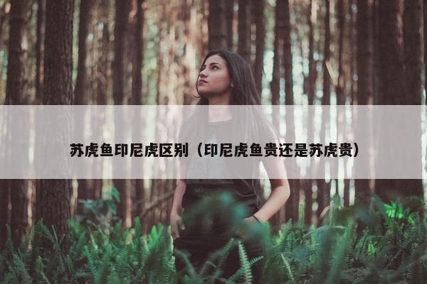苏虎鱼印尼虎区别（印尼虎鱼贵还是苏虎贵）