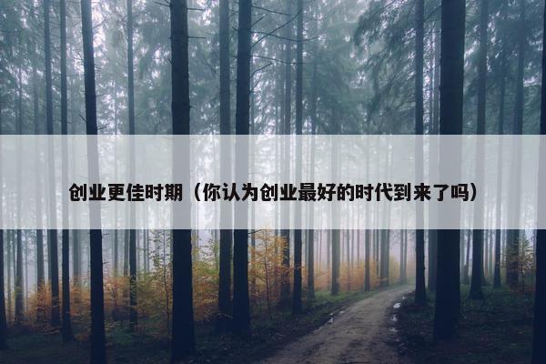 创业更佳时期（你认为创业最好的时代到来了吗）