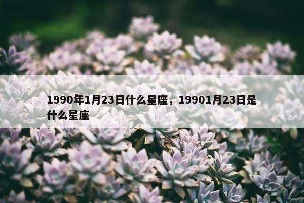 1990年1月23日什么星座，19901月23日是什么星座