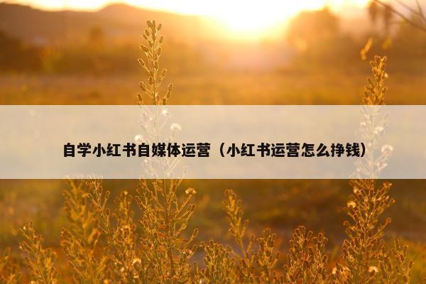 自学小红书自媒体运营（小红书运营怎么挣钱）