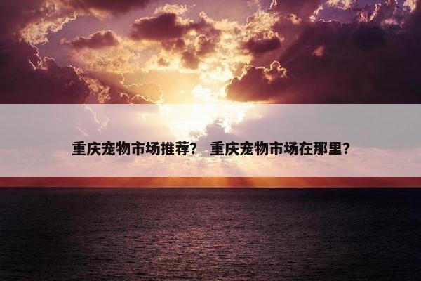 重庆宠物市场推荐？ 重庆宠物市场在那里？