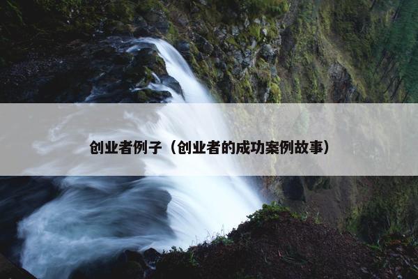创业者例子（创业者的成功案例故事）