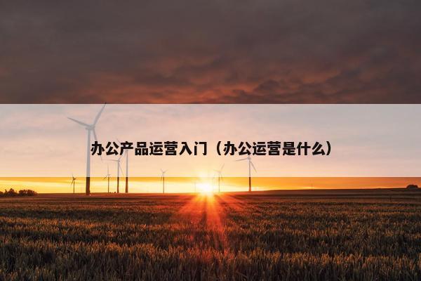 办公产品运营入门（办公运营是什么）