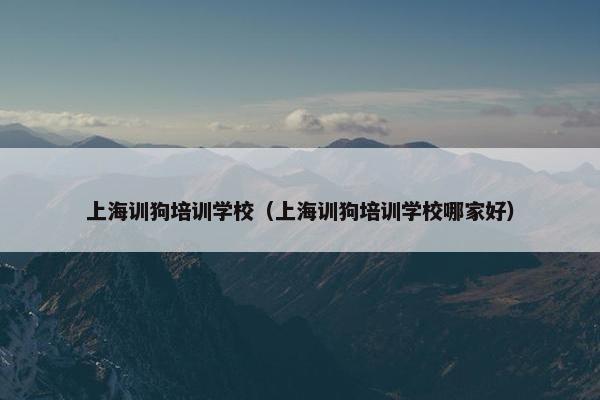 上海训狗培训学校（上海训狗培训学校哪家好）