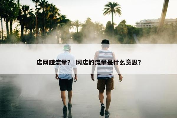 店网赚流量？ 网店的流量是什么意思？