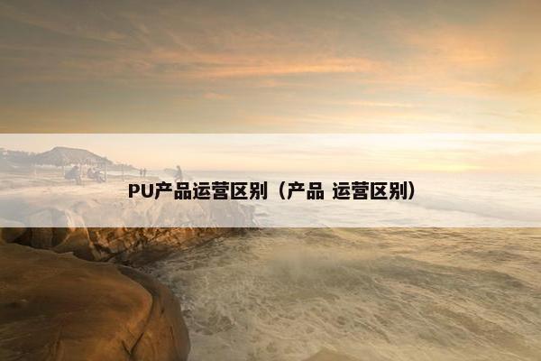 PU产品运营区别（产品 运营区别）