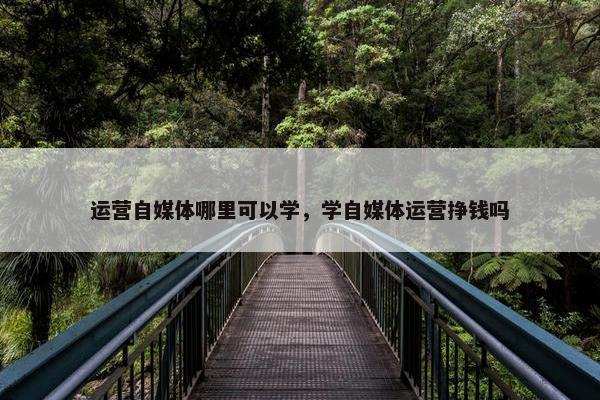 运营自媒体哪里可以学，学自媒体运营挣钱吗