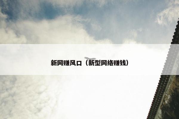 新网赚风口（新型网络赚钱）