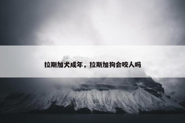 拉斯加犬成年，拉斯加狗会咬人吗