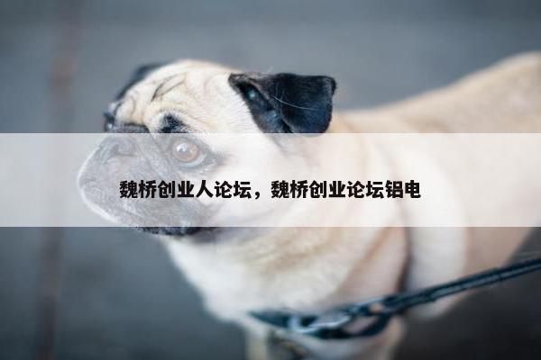 魏桥创业人论坛，魏桥创业论坛铝电