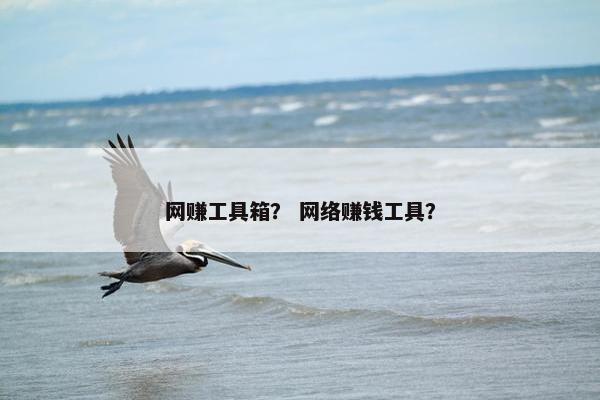 网赚工具箱？ 网络赚钱工具？