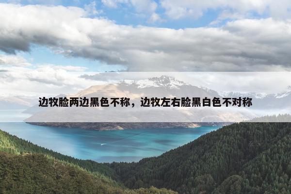 边牧脸两边黑色不称，边牧左右脸黑白色不对称