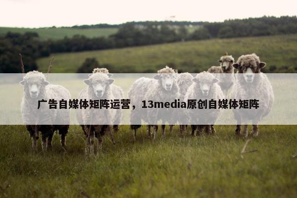 广告自媒体矩阵运营，13media原创自媒体矩阵