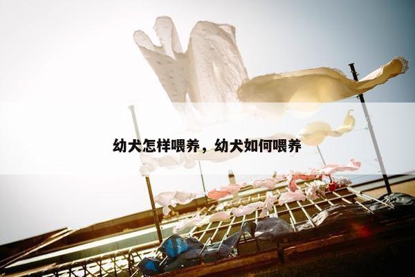 幼犬怎样喂养，幼犬如何喂养