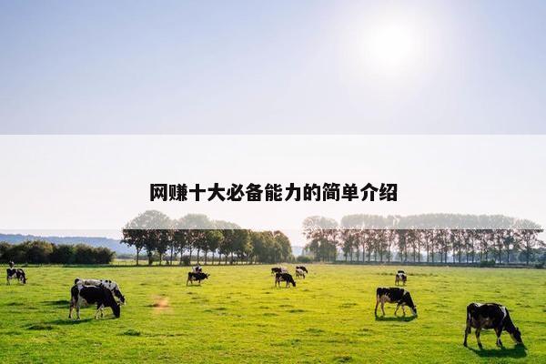 网赚十大必备能力的简单介绍