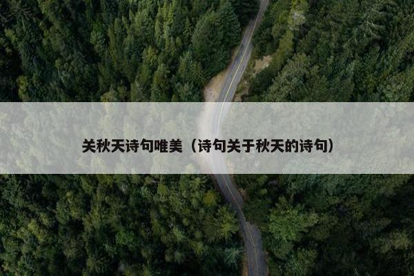 关秋天诗句唯美（诗句关于秋天的诗句）
