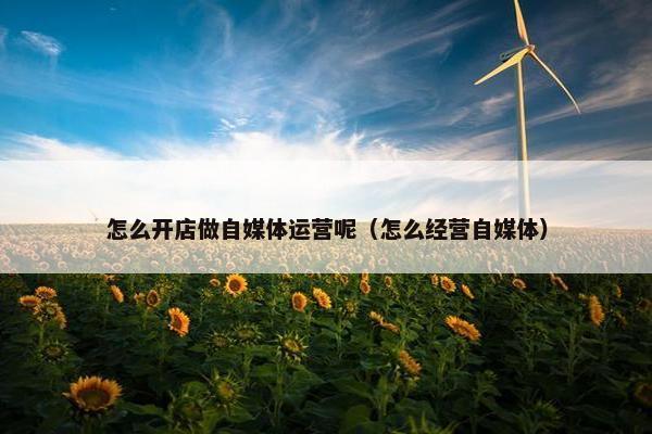 怎么开店做自媒体运营呢（怎么经营自媒体）