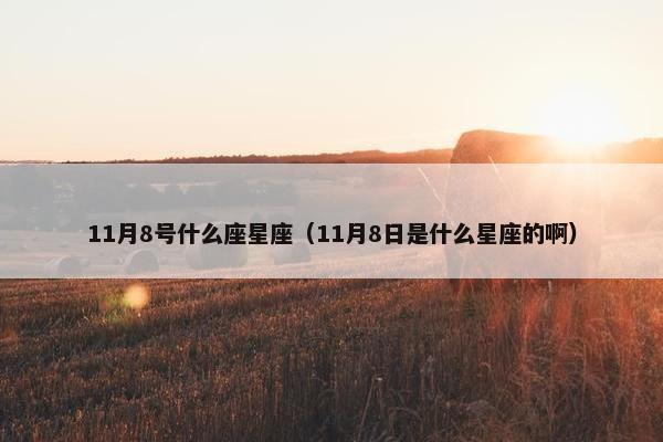 11月8号什么座星座（11月8日是什么星座的啊）