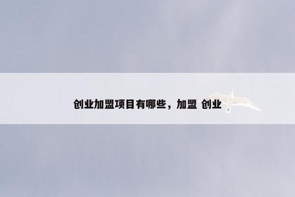 创业加盟项目有哪些，加盟 创业
