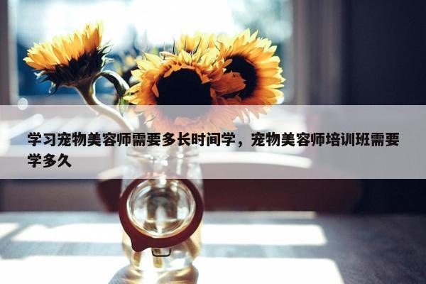 学习宠物美容师需要多长时间学，宠物美容师培训班需要学多久