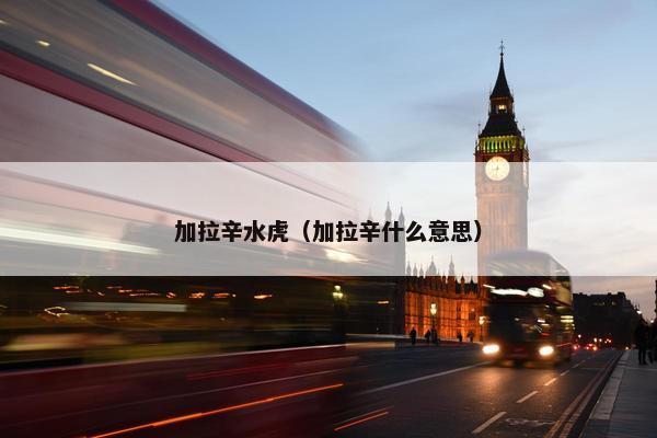 加拉辛水虎（加拉辛什么意思）