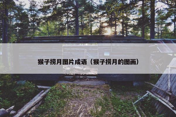 猴子捞月图片成语（猴子捞月的图画）